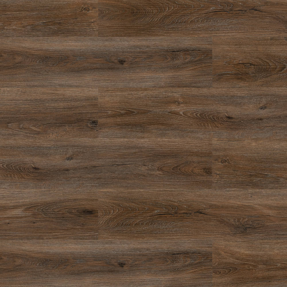 Дуб коричневый