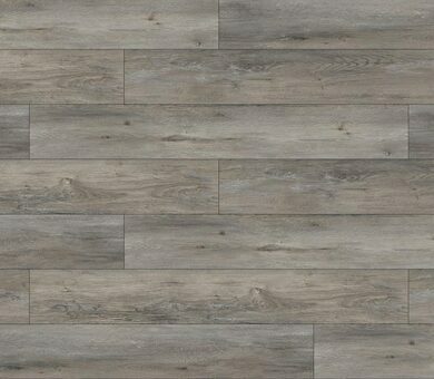 MV06 Дуб Одерон