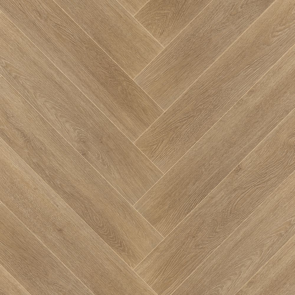 Дуб румынский