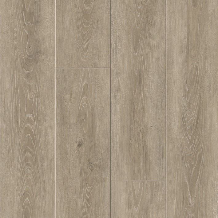 Anise Oak