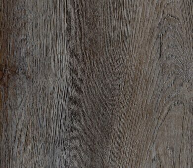 4405 Дуб Хьюмер