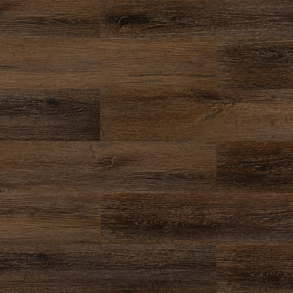 Дуб азиатский