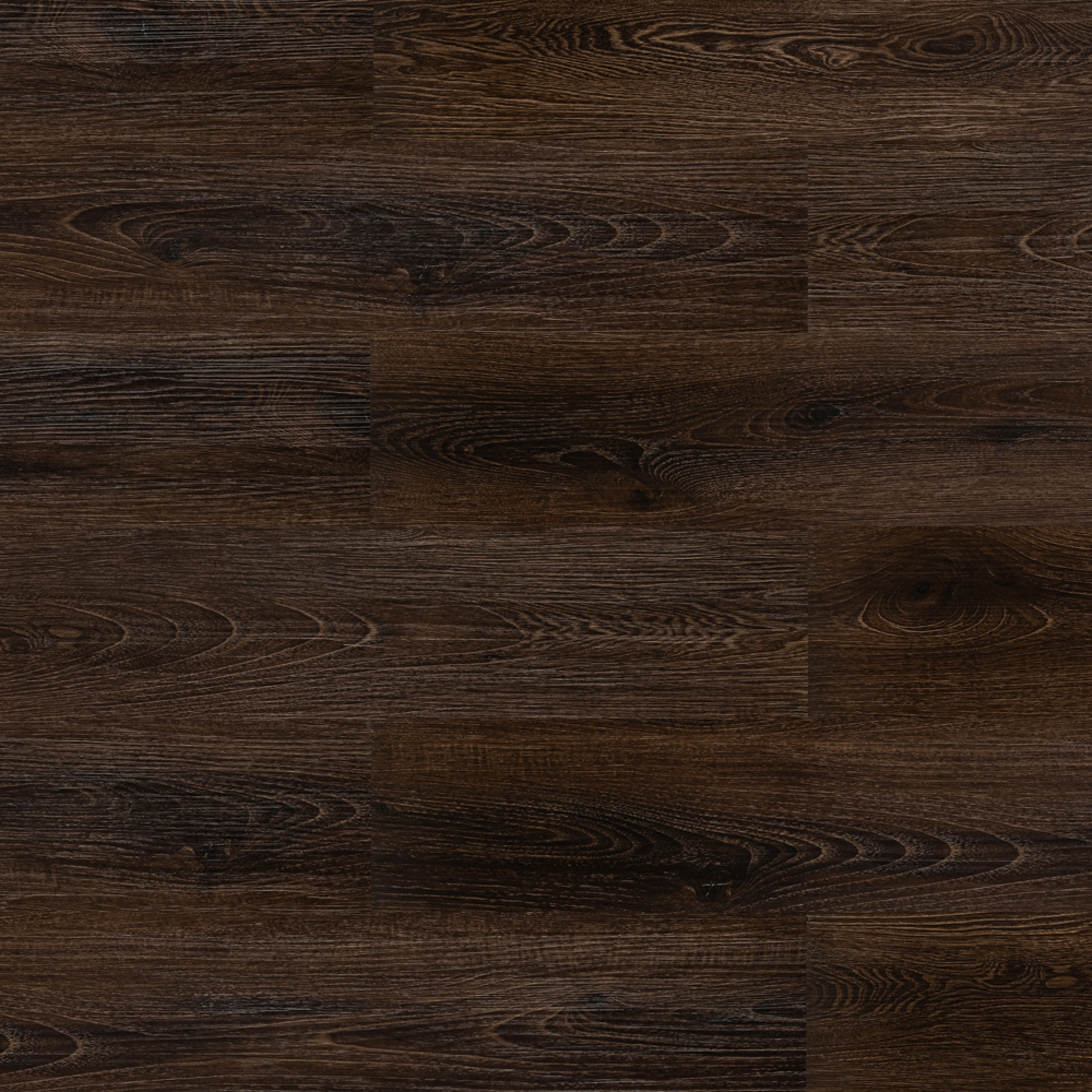 Дуб африканский