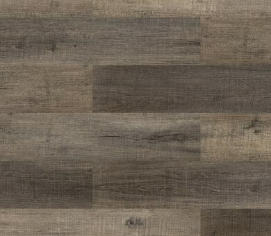 6613 Дуб платиновый