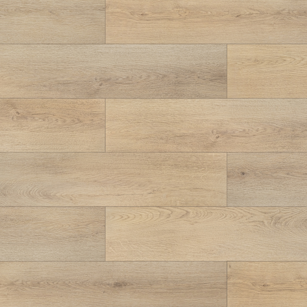 Дуб меренга