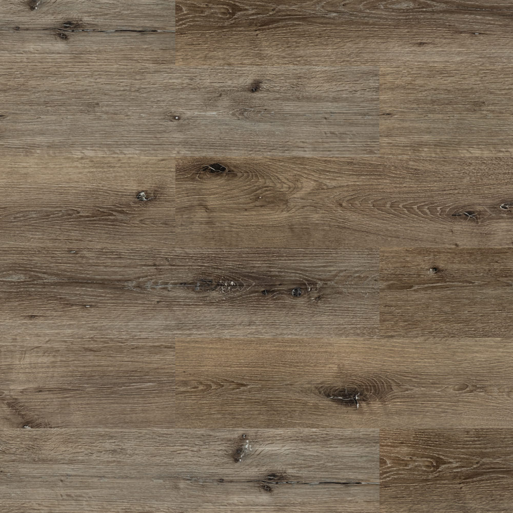 Дуб рустикальный