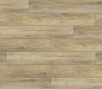 MV03 Дуб Содерс