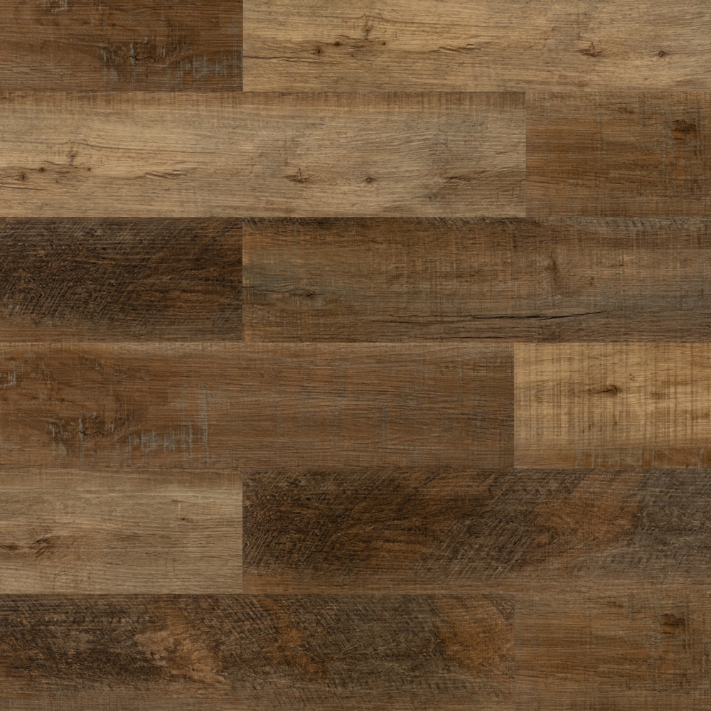 Дуб античный