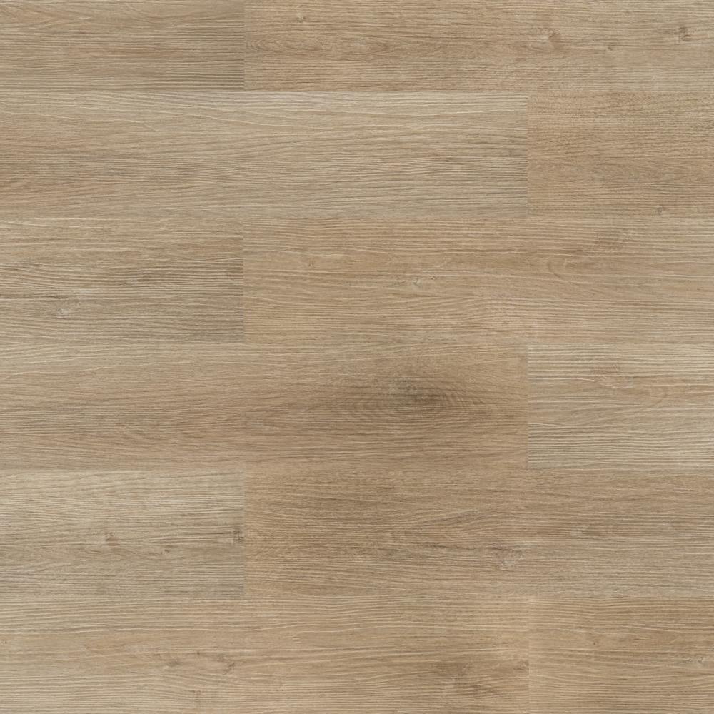 Дуб северный