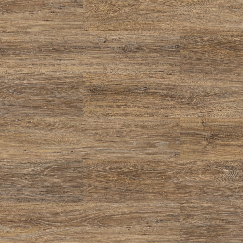 Дуб европейский