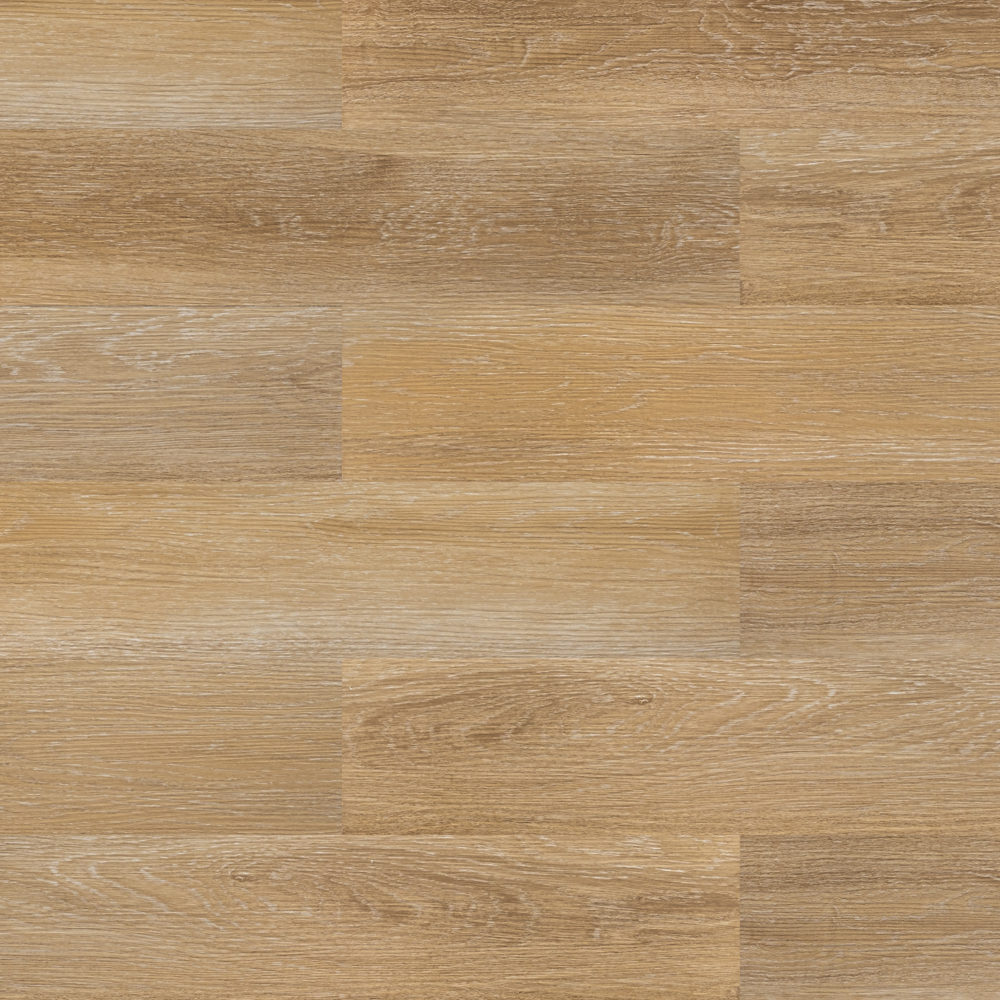 Дуб искристый