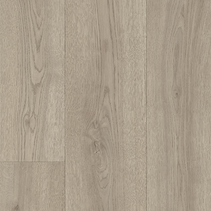 Дуб Селект 543