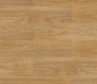 6608 Дуб песочный