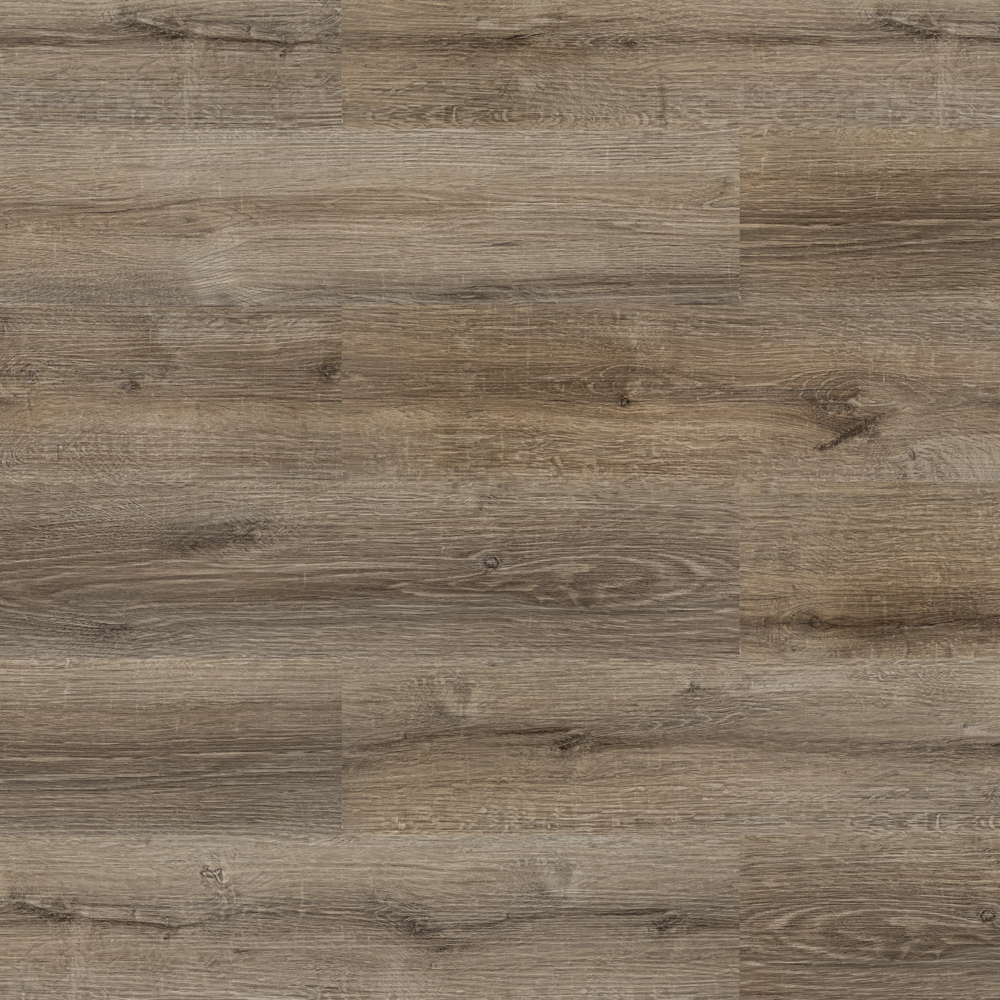 Дуб классический