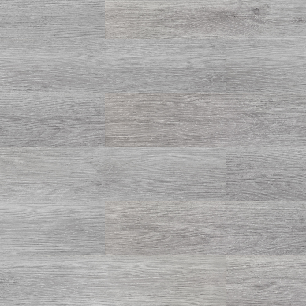 Дуб снежный