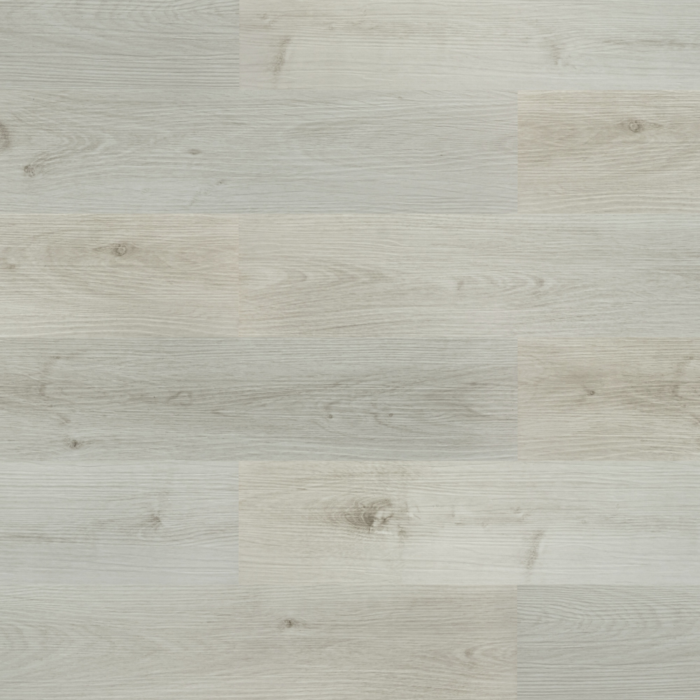 Дуб дальневосточный