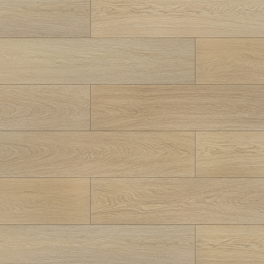 Дуб кардамон