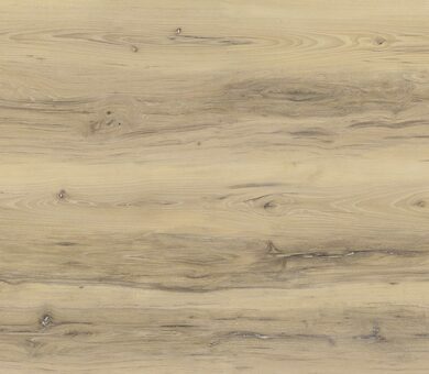 9902 Карнавал