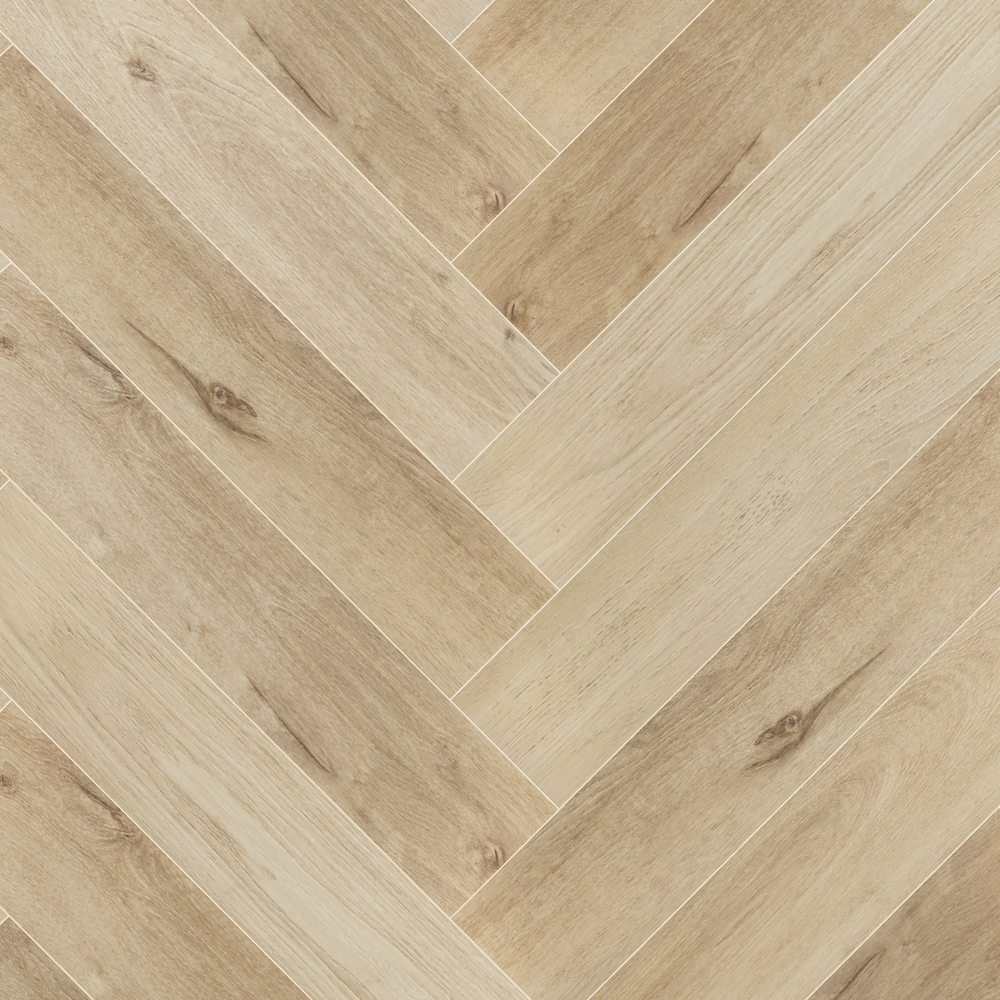 Дуб голландский