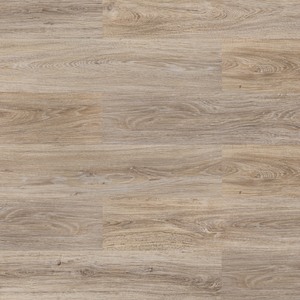 Дуб воздушный