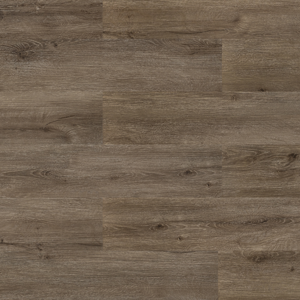 Дуб арктический