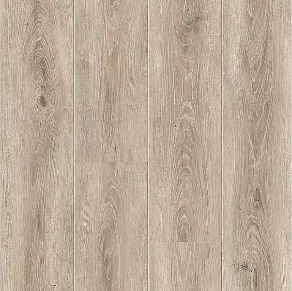 Cinnamon Oak